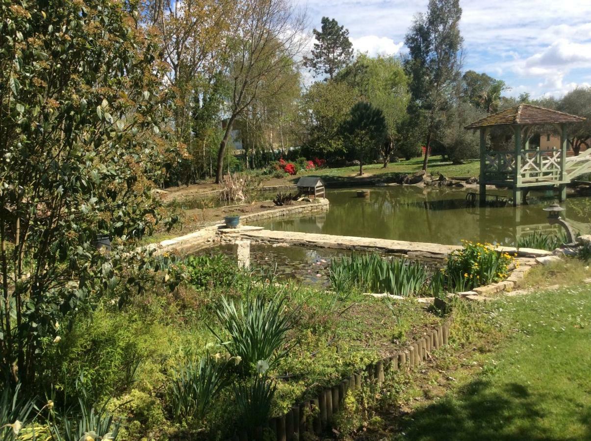 Gite Le Bois De Montpouillan Marmande Bagian luar foto